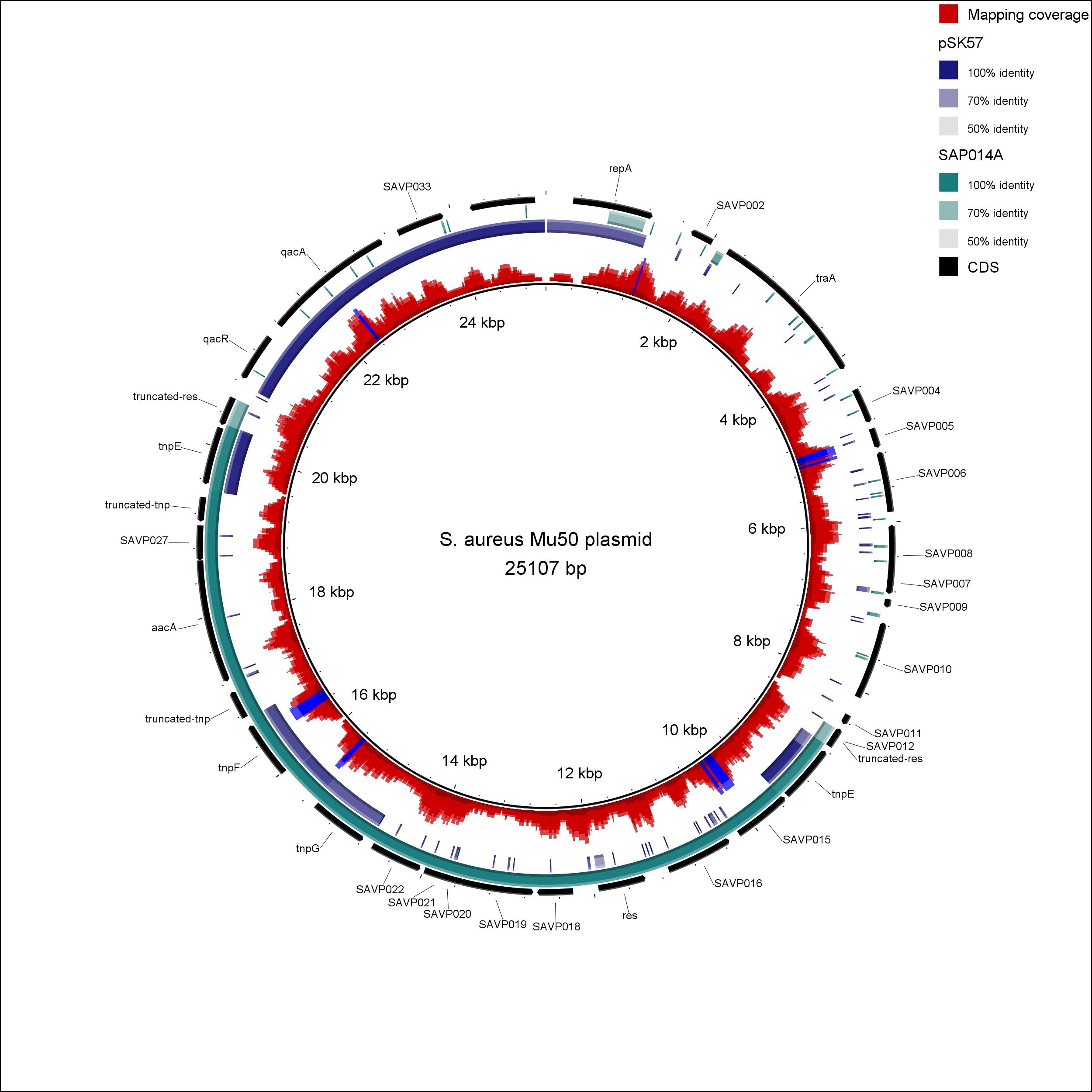 S. aureus Mu50 plasmid - SAM mapping
