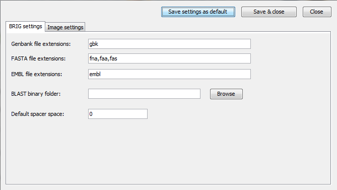 First BRIG options window