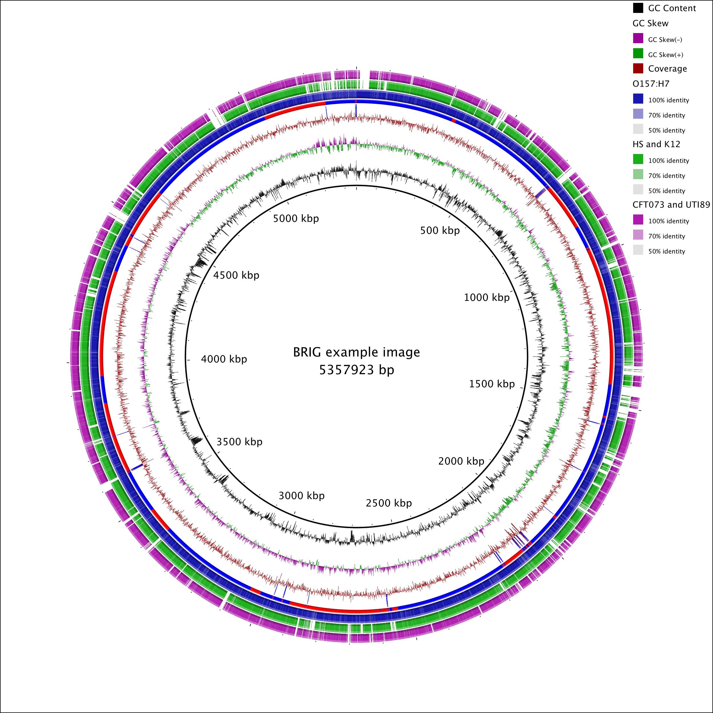 The final BRIG image
